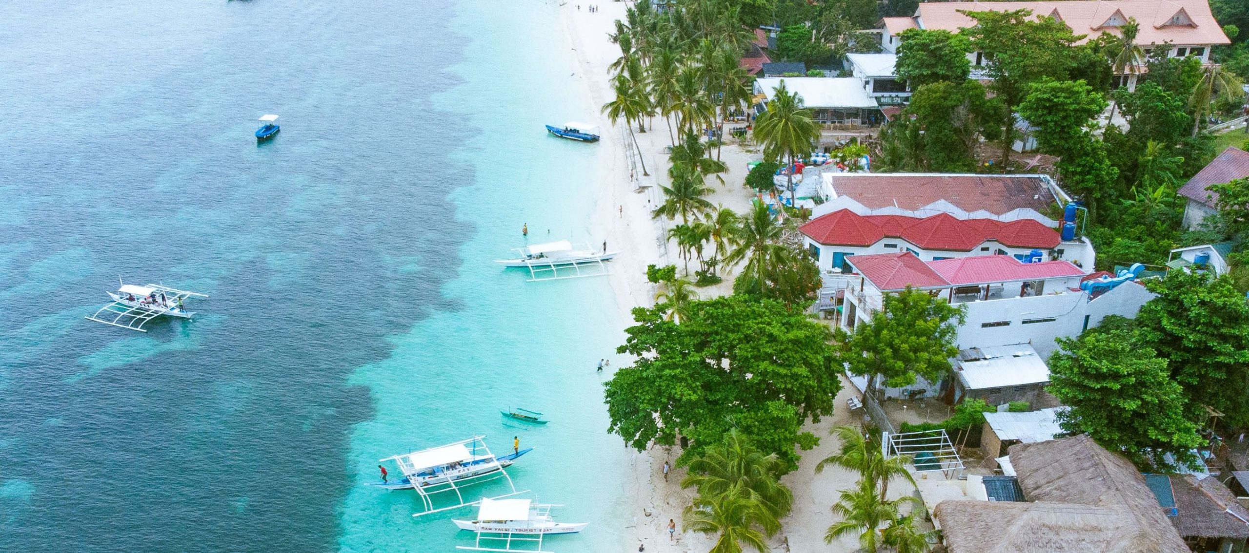 tour packages to bohol